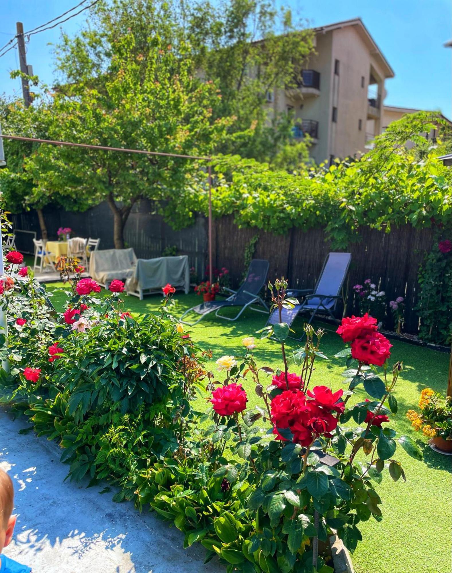 Vila Cris Apartments Нэводари Экстерьер фото
